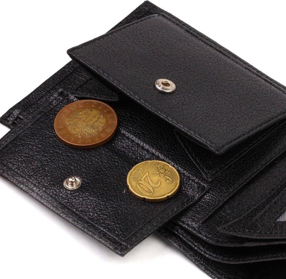 Черное мужское портмоне из натуральной кожи с монетницей CANPELLINI (2421764)
