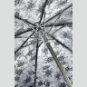 Жіноча парасолька Fulton Diamond L852 Marquise - Jacquard Floral (механіка, складна, сіра з квітковим принтом) 93900 фото №11 Жіноча парасолька Fulton Diamond L852 Marquise - Jacquard Floral (механіка, складна, сіра з квітковим принтом) 93900 modnotak фото - 11
