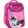 Школьный рюкзак для девочек из текстиля с принтом хаски Bagland (52904) - 1