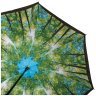 Парасолька-тростина жіноча Fulton Bloomsbury-2 L754-036600 Sunburst (Тростина, напівавтомат, чорна з принтом літнього парку) 93906 фото №7 Парасолька-тростина жіноча Fulton Bloomsbury-2 L754-036600 Sunburst (Тростина, напівавтомат, чорна з принтом літнього парку) 93906 modnotak фото - 7