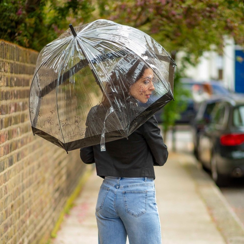 Женский зонт-трость Fulton Birdcage-2 Cats (Черный, механика, 8 спиц, для женщин) 94211 modnotak фото №2