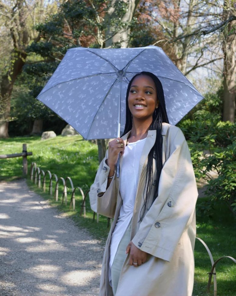 Женский мини зонт Fulton L501 Tiny-2 Hare & Meadow (механика, складная, синего цвет с принтом зайцев) 108014 modnotak фото №4