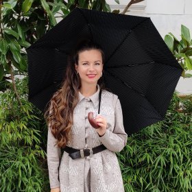 Зонт мужской Fulton Chelsea-2 G818 Black Steel (автомат, черный в серую полоску) 93815