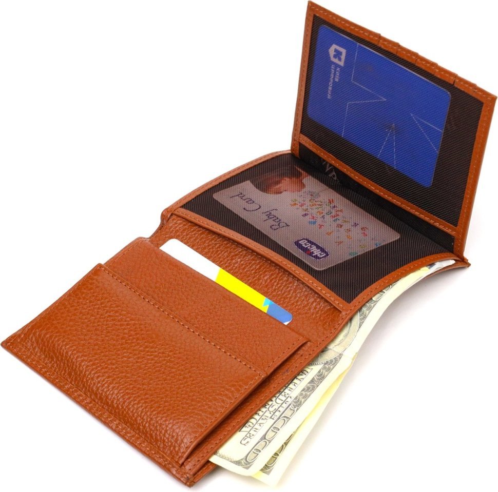 Чоловічий гаманець вертикального формату із натуральної коричневої шкіри CANPELLINI (2421754)
