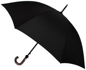 Мужской зонт-трость Fulton Huntsman-1 G813 Black (классический, механика, черный) 93825