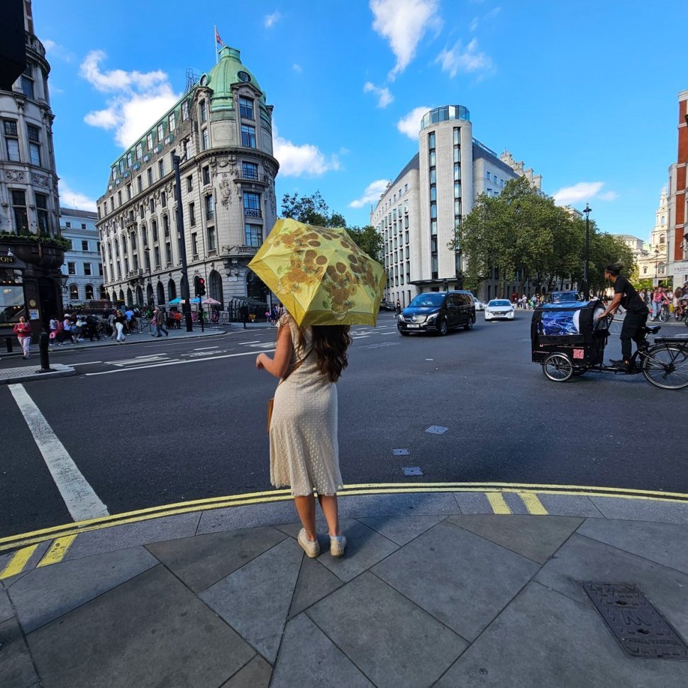 Зонт женский Fulton National Gallery Tiny-2 L794 Sunflowers (Механика, складной, коричневого цвета с рисунком подсолнуха) 93832 modnotak фото №5