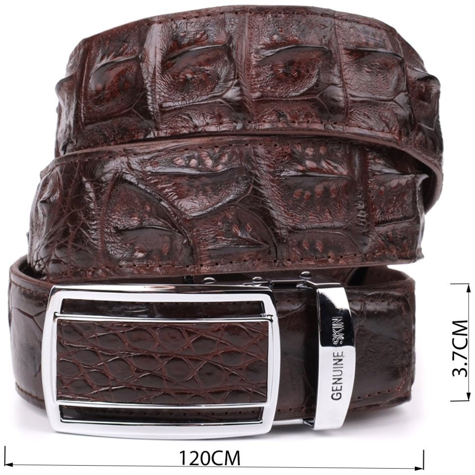 Ремень-автомат из натуральной кожи крокодила (каймана) коричневого цвета CROCODILE LEATHER (024-18235) modnotak фото №4