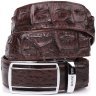 Ремень-автомат из натуральной кожи крокодила (каймана) коричневого цвета CROCODILE LEATHER (024-18235) modnotak фото - 6