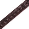 Ремень-автомат из натуральной кожи крокодила (каймана) коричневого цвета CROCODILE LEATHER (024-18235) modnotak фото - 10