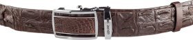 Модний ремінь-автомат з коричневої шкіри крокодила CROCODILE LEATHER (024-18240)