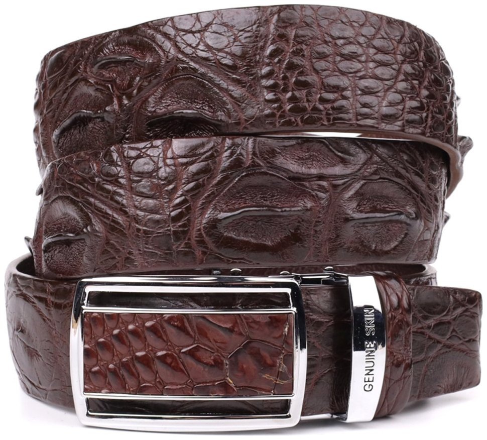 Модний ремінь-автомат з коричневої шкіри крокодила CROCODILE LEATHER (024-18240) фото №4 Модний ремінь-автомат з коричневої шкіри крокодила CROCODILE LEATHER (024-18240) modnotak фото №4