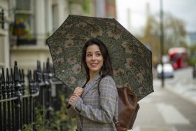 Женский зонт Fulton L856-041062 Morris &amp; Co. Bloomsbury Pimpernel Bayleaf Manilla (Черный с принтом цветов) 94339