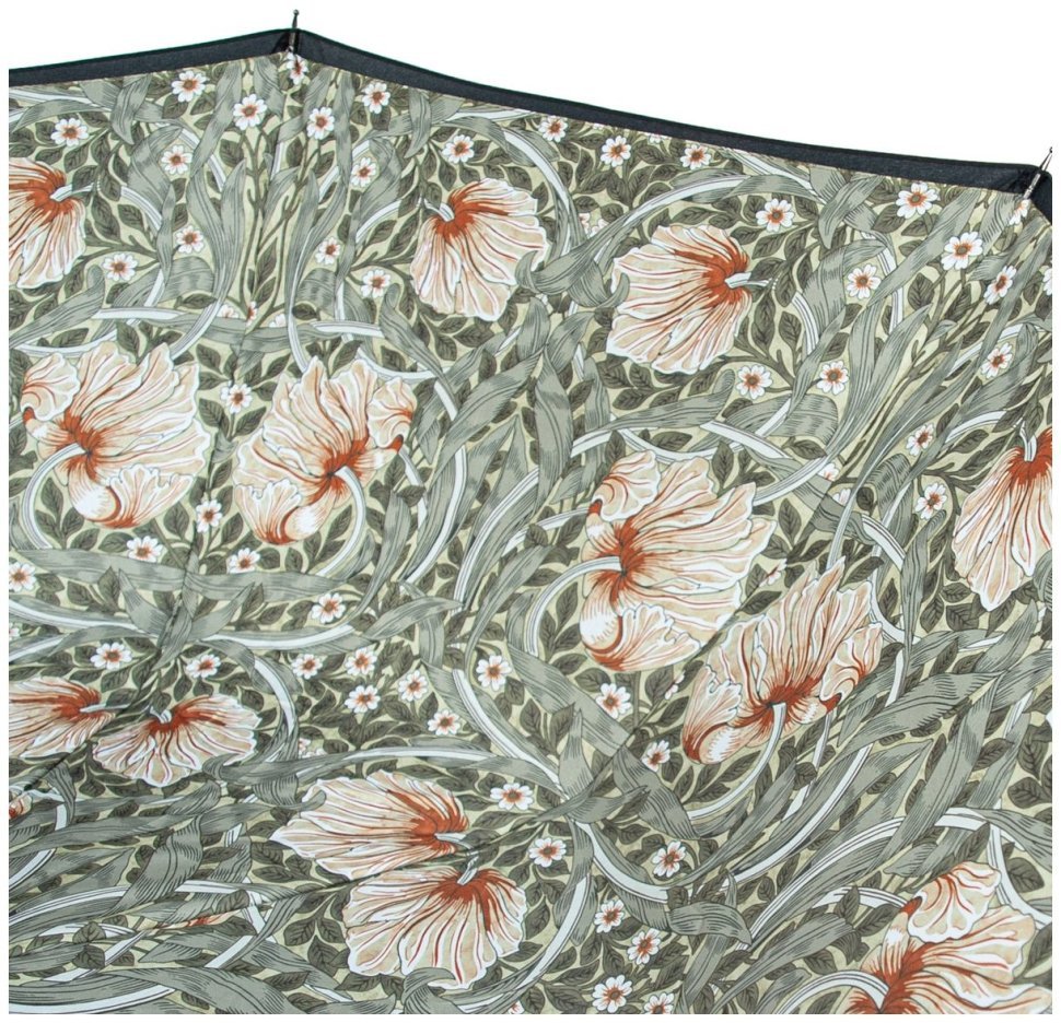 Женский зонт Fulton L856-041062 Morris & Co. Bloomsbury Pimpernel Bayleaf Manilla (Черный с принтом цветов) 94339 modnotak фото №14