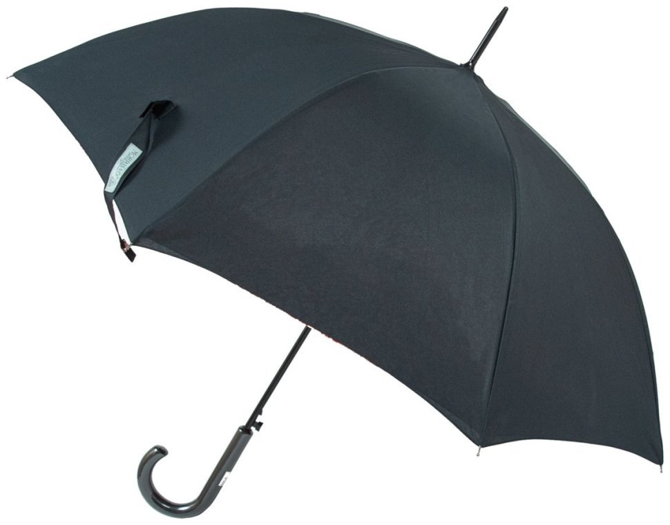 Женский зонт Fulton L856-041321 Morris & Co. Bloomsbury Strawberry Thief Indian Red (Черный с принтом цветов) 94340 фото №2 Женский зонт Fulton L856-041321 Morris & Co. Bloomsbury Strawberry Thief Indian Red (Черный с принтом цветов) 94340 modnotak фото №2