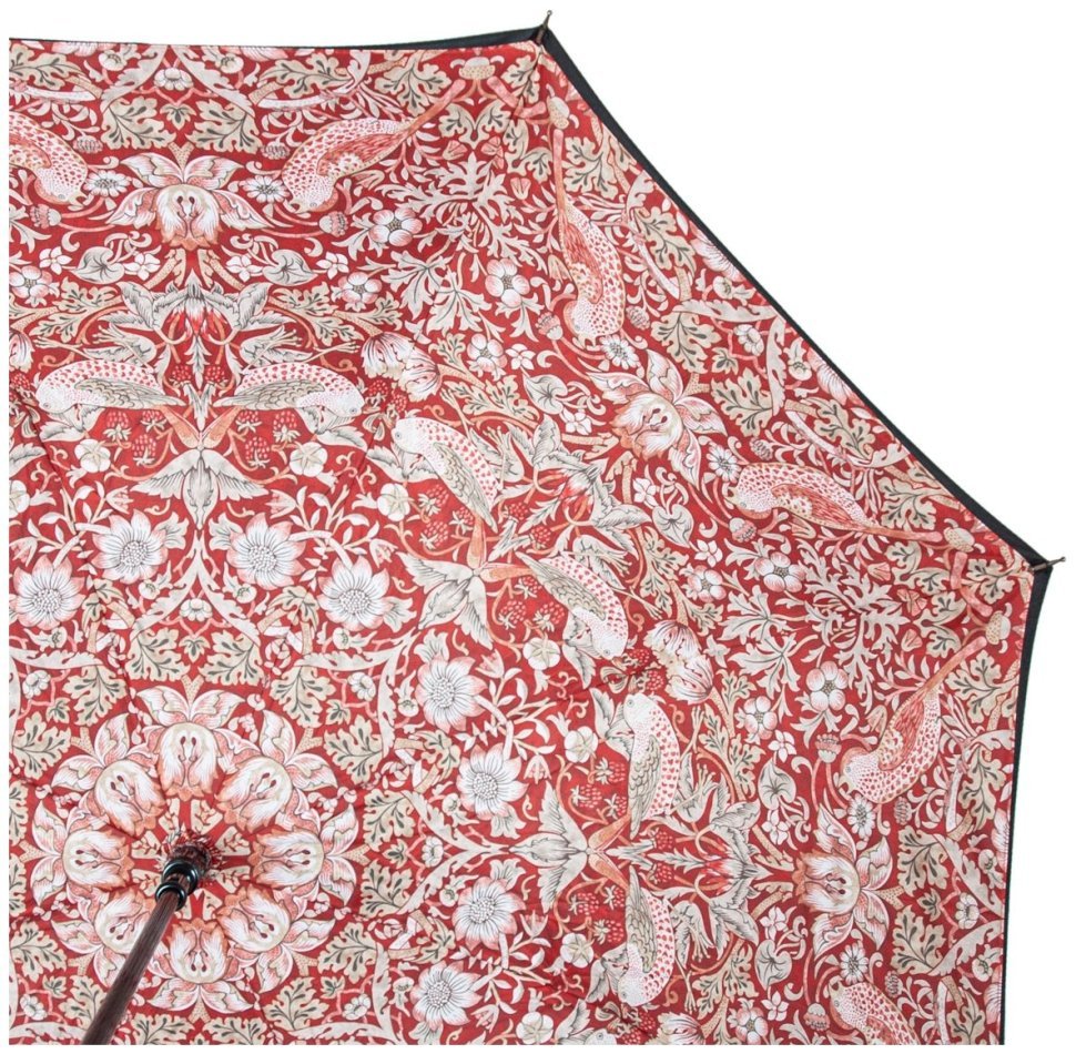Женский зонт Fulton L856-041321 Morris & Co. Bloomsbury Strawberry Thief Indian Red (Черный с принтом цветов) 94340 фото №6 Женский зонт Fulton L856-041321 Morris & Co. Bloomsbury Strawberry Thief Indian Red (Черный с принтом цветов) 94340 modnotak фото №6