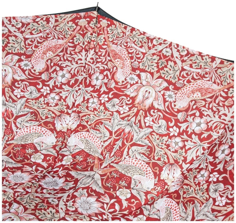 Женский зонт Fulton L856-041321 Morris & Co. Bloomsbury Strawberry Thief Indian Red (Черный с принтом цветов) 94340 фото №11 Женский зонт Fulton L856-041321 Morris & Co. Bloomsbury Strawberry Thief Indian Red (Черный с принтом цветов) 94340 modnotak фото №11