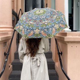 Женский зонт Fulton L907-040669 Minilite-2 UV Strawberry Thief (Разноцветный с принтом "Клубничный воришка", складной, механика, защита UPF 50+) 94342