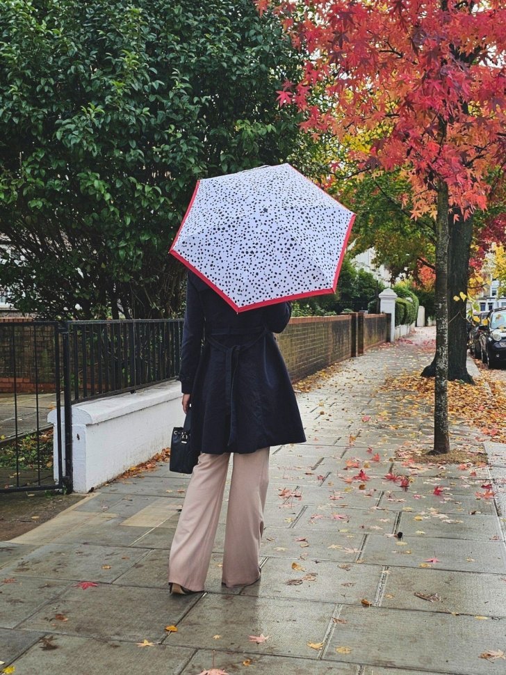 Женский мини зонт Fulton L501 Tiny-2 Dalmatian (складной, механика, с принтом долматин) белого цвета 107942 modnotak фото №2