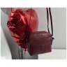 Бордовая женская сумка компактного размера из натуральной кожи на три молнии Visconti Holly 69043 - 11