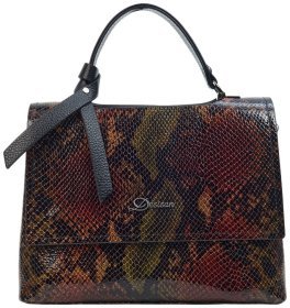 Каркасная женская сумка из натуральной кожи под змею с ручкой для носки Desisan 106846 Разноцветная