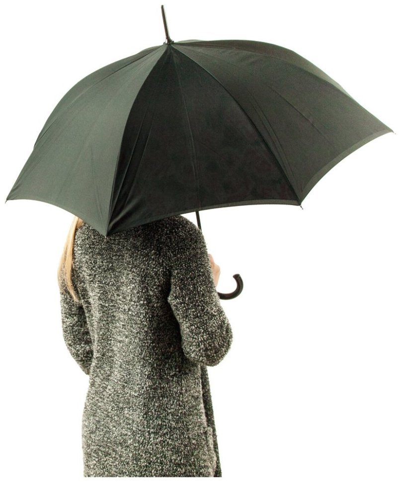 Зонт-трость женский Fulton Bloomsbury-2 L754 Painted Roses (полуавтомат, черный с принтом роз) 93847 modnotak фото №3