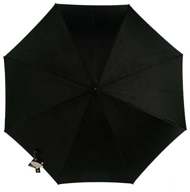 Зонт-трость женский Fulton Bloomsbury-2 L754 Painted Roses (полуавтомат, черный с принтом роз) 93847 modnotak фото №4