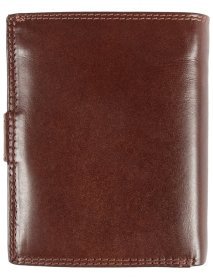 Вертикальный мужской кошелек из гладкой кожи на кнопке с RFID-защитой Ashwood VT 94048 коричневого цвета