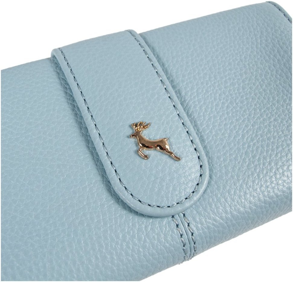 Крупный женский кошелек из натуральной кожи голубого цвета под много карт Ashwood 69649