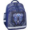 Синий школьный рюкзак для мальчиков с принтом Bagland  (53853) - 1