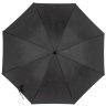 Зонт-трость женский Fulton Bloomsbury-2 L754-028148 Mono Floral (Принт цветы) 94455 фото №2 Зонт-трость женский Fulton Bloomsbury-2 L754-028148 Mono Floral (Принт цветы) 94455 modnotak фото - 2