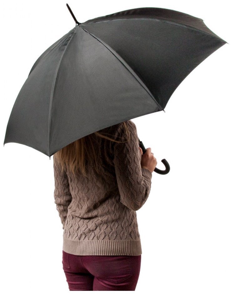 Зонт-трость женский Fulton Bloomsbury-2 L754-028148 Mono Floral (Принт цветы) 94455 modnotak фото №12