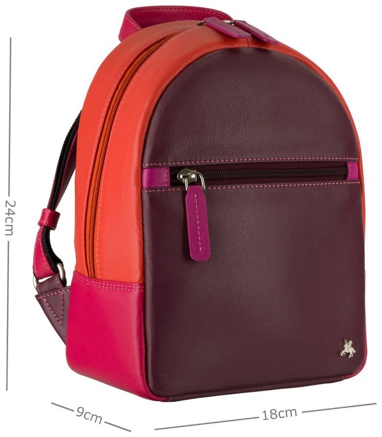 Городской женский рюкзак из натуральной гладкой кожи Visconti S46 Molly разноцветный 108556 фото №6 Городской женский рюкзак из натуральной гладкой кожи Visconti S46 Molly разноцветный 108556 modnotak фото №6