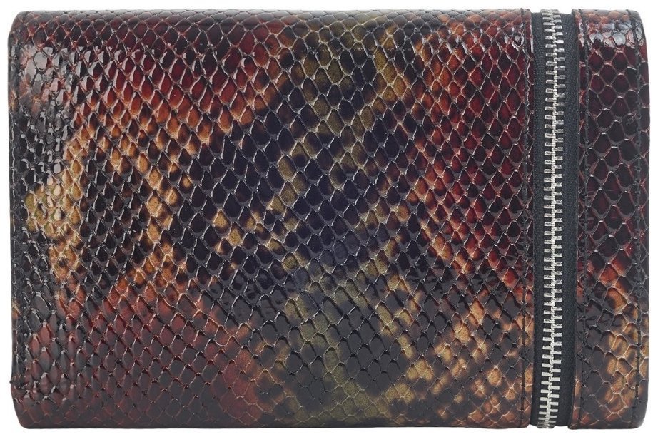 Кожаный кошелек на кнопке под рептилию для женщин Desisan 106661 разноцветный modnotak фото №2