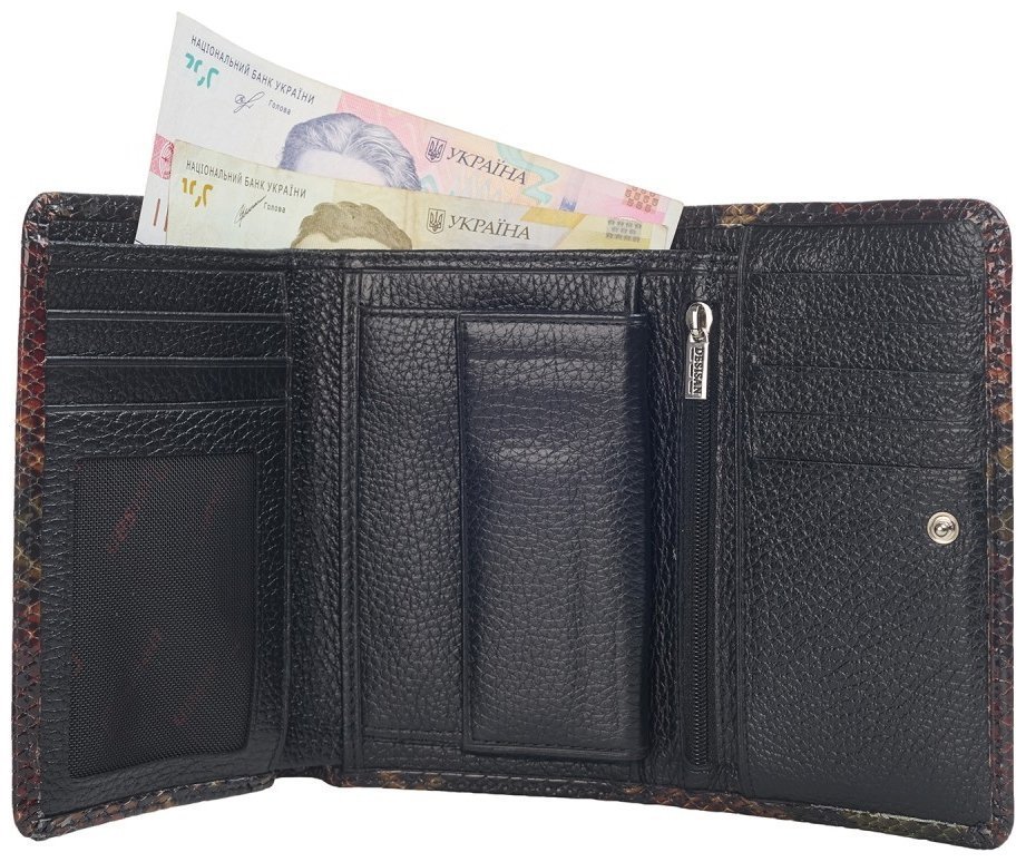 Кожаный кошелек на кнопке под рептилию для женщин Desisan 106661 разноцветный modnotak фото №3