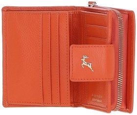 Яскраве жіноче шкіряне портмоне Ashwood 94463 (помаранчеве)