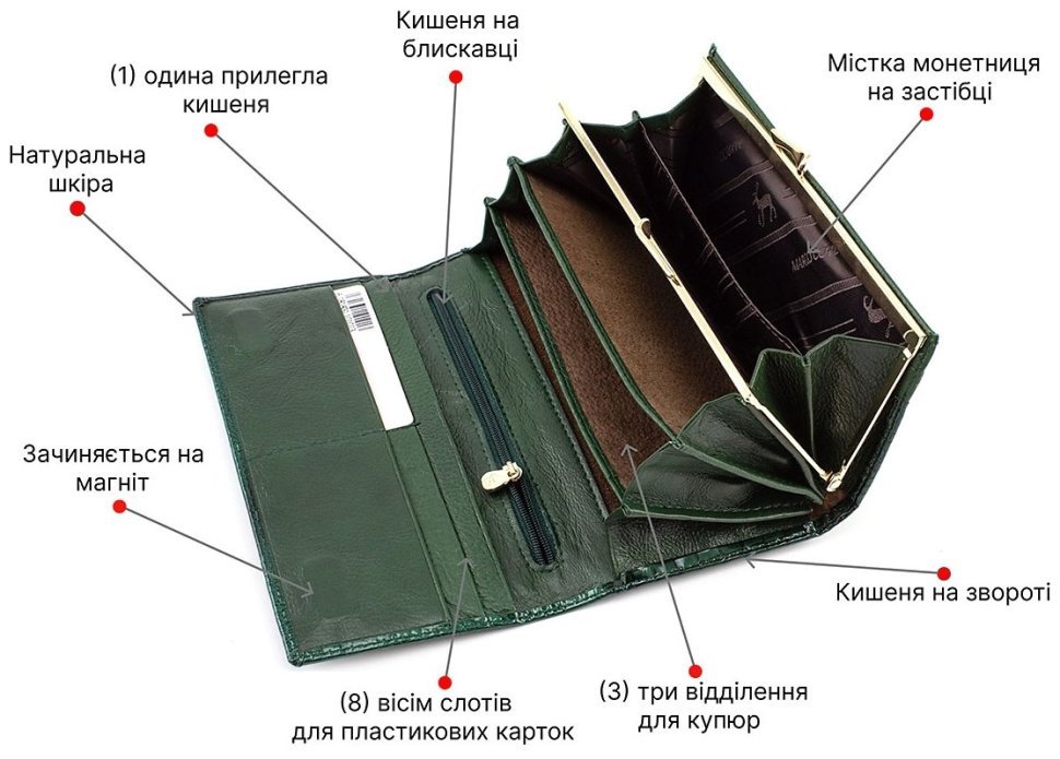 Лаковий зелений гаманець середнього розміру Marco Coverna (16621) modnotak фото №4