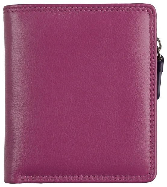 Маленький женский кошелек кожаный Visconti RB112 Chile (Berry Multi) 108868