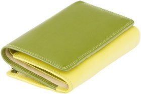 Зелений жіночий гаманець із натуральної шкіри з фіксацією на кнопку Visconti Bora 69272