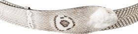 Мужской ремень автомат из натуральной кожи кобры белого цвета SNAKE LEATHER (024-18199)