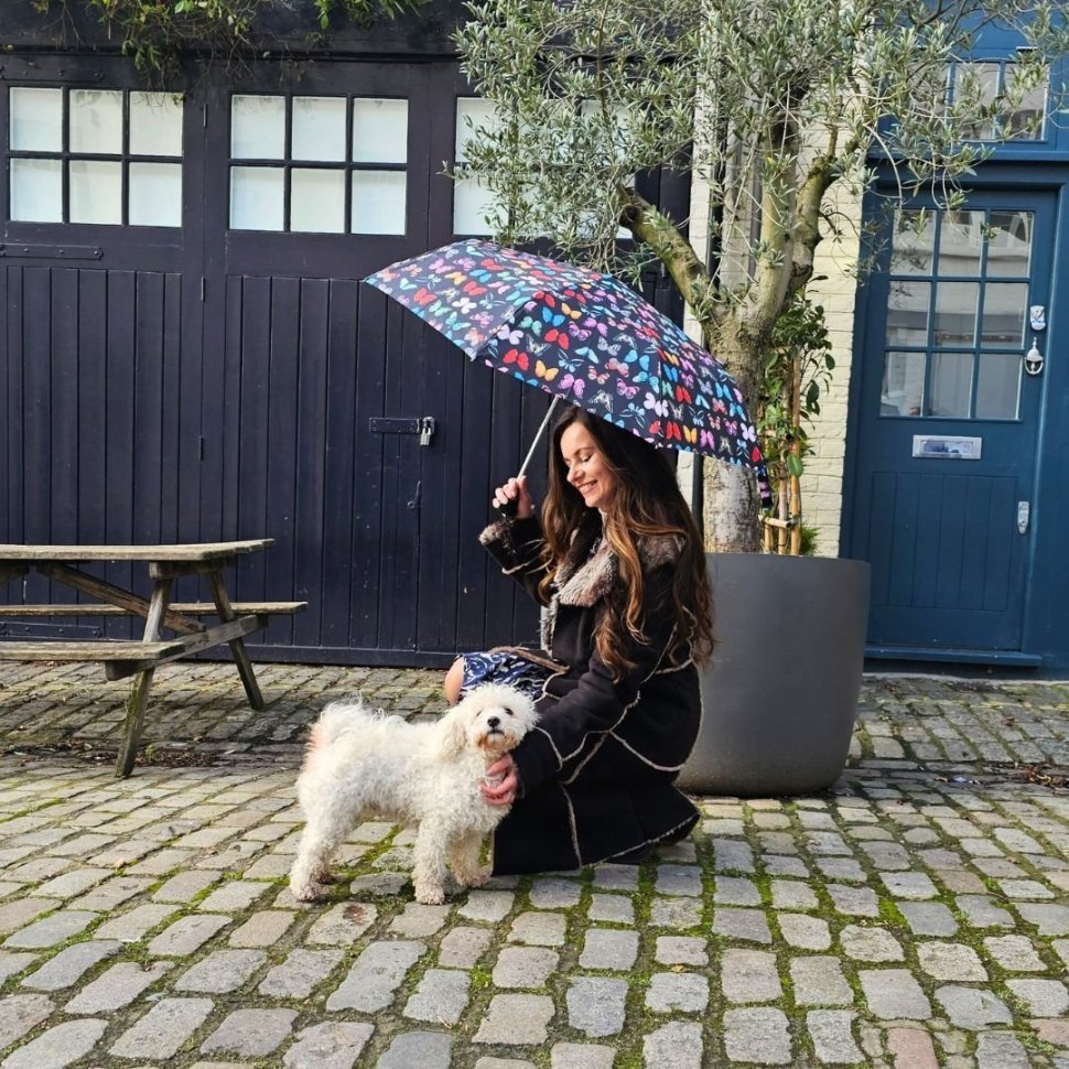 Зонт женский складной Fulton L354-041659 Minilite-2 Butterfly (механика, компактный, мультиколор, Великобритания) 94376 modnotak фото №4