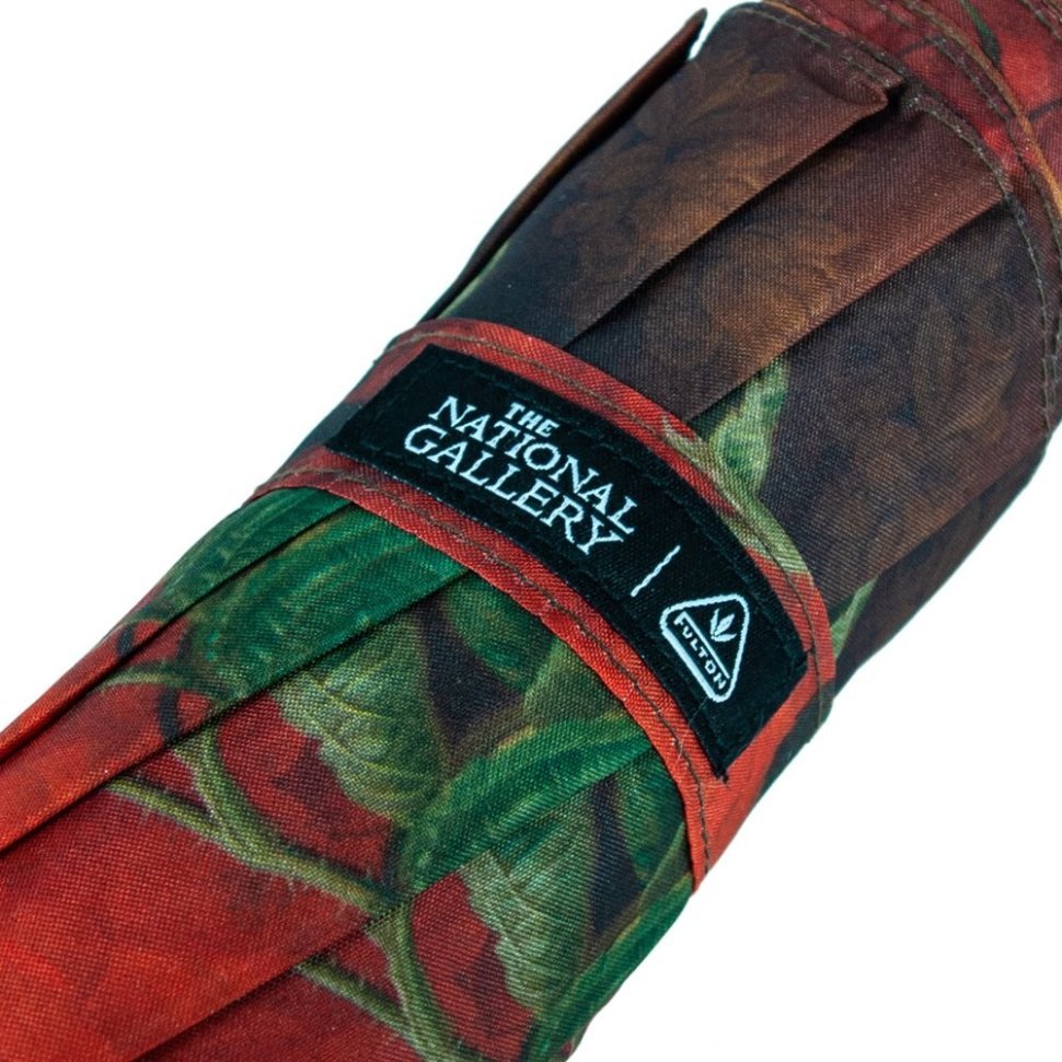 Зонт женский Fulton National Gallery Minilite-2 L849 Flowers in a Vase (механика, складной, разноцветный с принтом цветов) 93881 фото №8 Зонт женский Fulton National Gallery Minilite-2 L849 Flowers in a Vase (механика, складной, разноцветный с принтом цветов) 93881 modnotak фото №8