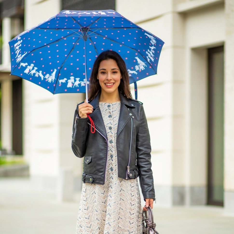Зонт женский Fulton L354-041185 Minilite-2 Milis Friends (Синий в горошек с принтом щенят, механика) 94282 фото №2 Зонт женский Fulton L354-041185 Minilite-2 Milis Friends (Синий в горошек с принтом щенят, механика) 94282 modnotak фото №2