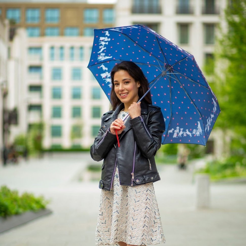 Зонт женский Fulton L354-041185 Minilite-2 Milis Friends (Синий в горошек с принтом щенят, механика) 94282 фото №3 Зонт женский Fulton L354-041185 Minilite-2 Milis Friends (Синий в горошек с принтом щенят, механика) 94282 modnotak фото №3