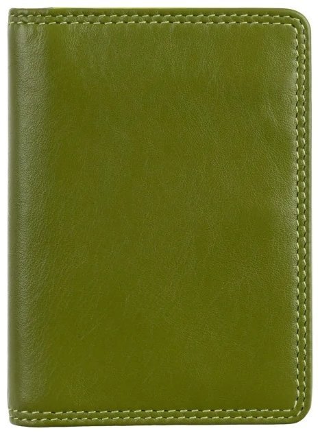 Кожаный картхолдер на кнопке с отделением для банковских карт Visconti RB111 зеленый/разноцветный 95484 modnotak фото №1