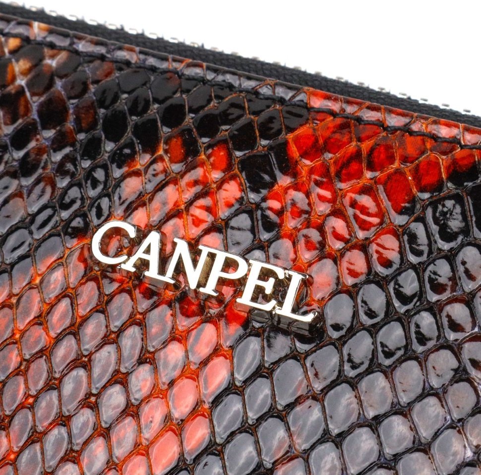 Женский лаковый кошелек большого размера из натуральной кожи с тиснением под змею CANPELLINI (2421722)