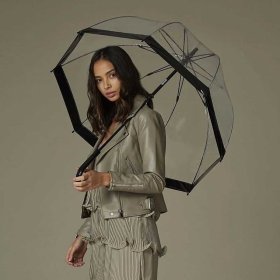 Зонт-трость женский Fulton Birdcage-1 L041 Black (Механика, прозрачный с черными вставками) 93791