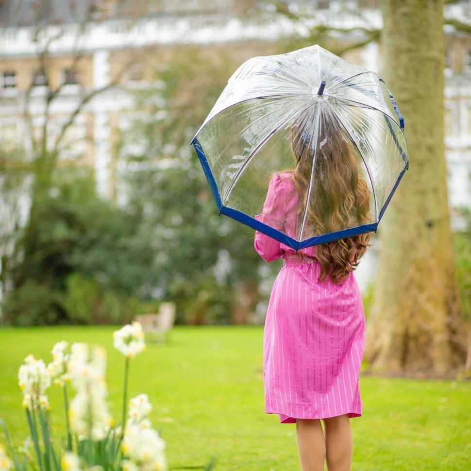 Зонт-трость женский Fulton Birdcage-1 L041 Navy (Механика, прозрачный с синими вставками) 93792 modnotak фото №3