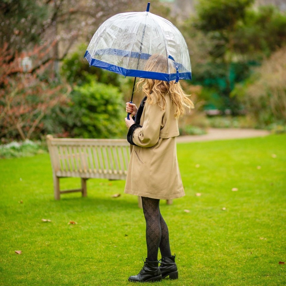 Зонт-трость женский Fulton Birdcage-1 L041 Navy (Механика, прозрачный с синими вставками) 93792 modnotak фото №4