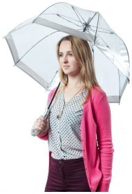 Зонт-трость женский Fulton Birdcage-1 L041 Silver (Механика, прозрачный с серыми вставками) 93793