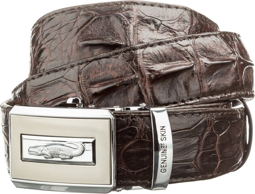 Темно-коричневый ремень из кожи крокодила с пряжкой автомат CROCODILE LEATHER (024-18606) modnotak фото №1
